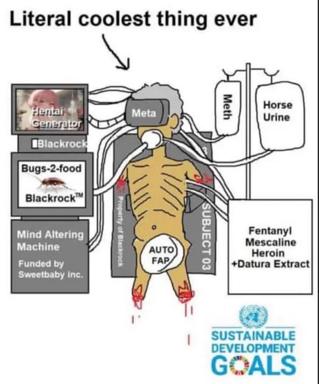 A diagram captioned "Literal coolest thing ever" mapping tech-dystopia inputs (hentai generators, Blackrock, Bugs-2-food) through a human skeleton to psychoactive/narcotic outputs, with a UN Sustainable Development Goals seal at the bottom.