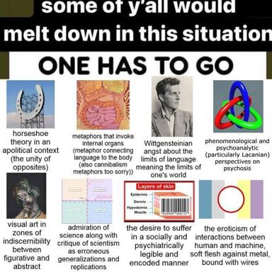 Academic death-match: choose which intellectual neurose to abandon — Wittgenstein, Lacan, psychoanalysis, phenomenology, all vying for the last chair.