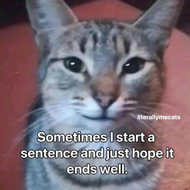 A tabby cat with an anxious expression, captioned on the relatable struggle of writing without a plan — a beloved internet reaction macro about creative paralysis and hope.