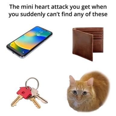 Meme joking about the panic of suddenly losing access to essential items (phone, wallet, keys, pet).