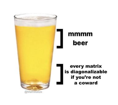 Math textbook humor: comparing the universality of beer consumption to linear algebra's diagonalization theorem — a joke claiming both are equally inevitable if you're "not a coward."