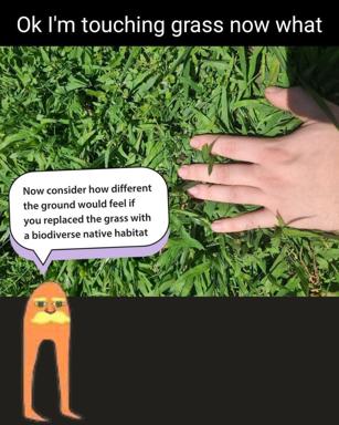 Hands-on environmental commentary: touching grass as the literal gateway to understanding habitat restoration and biodiversity vs monoculture lawns.