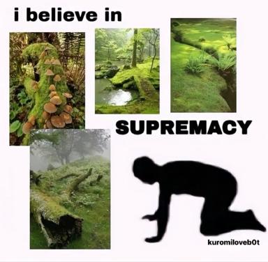A philosophical meme pairing moss-covered woodland scenes with a silhouetted human figure in contemplation, declaring belief in "SUPREMACY" with wry, ecocentric humour.