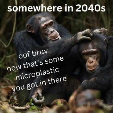 Two chimpanzees with an overlay caption riffing on environmental collapse and microplastic pollution through British slang and absurdist humour.