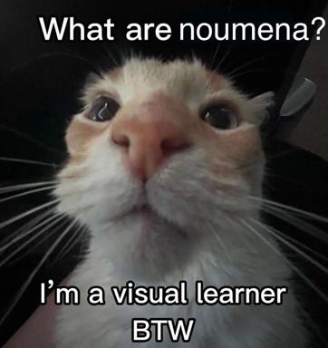 Confused white cat close-up with the "visual learner" excuse setup — a reaction meme for not understanding noumena or abstract concepts.
