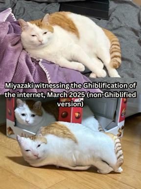 Two-panel cat meme: a real cat lounging serenely above, a stretched cat figurine below, riffing on Miyazaki's detached aesthetic witnessing internet degradation.