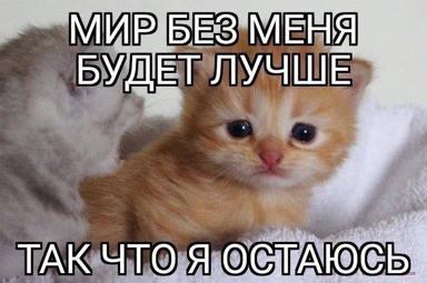 A two-panel meme with a ginger kitten declaring existential absence; the subtext is defiant, tender self-affirmation. Russian text plays on self-erasure and choosing to stay.