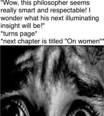 Meme critiquing misogynistic philosophy via dramatic page-turn irony; low-res animal image as punchline.