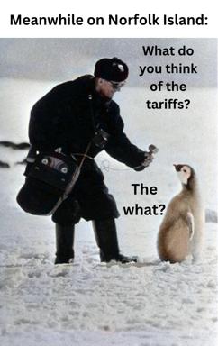 A meerkat bewilders a field reporter by not understanding her economic policy question. The image joins wildlife and political discourse comedy.
