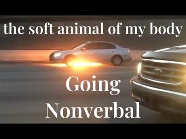 Two cars in a headlight standoff over the phrase "the soft animal of my body" — a deadpan meditation on vulnerability in motion.