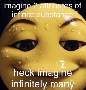 Philosophical overload reaction meme: a wet, glistening yellow character face reacts to the absurdity of imagining infinite attributes of infinite substance.