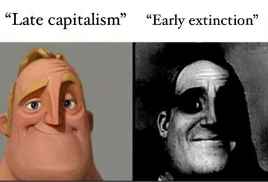 Two-panel macro juxtaposing oblivious comfort ("Late capitalism") against imminent collapse ("Early extinction").