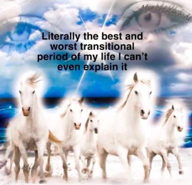 Surreal chaos collage of white horses against a sky background with an eye in the corner; existential meme about indescribable life struggles.