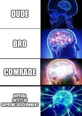 Expanding brain meme escalating from casual to absurdist — the final panel's hyperbolic imagery satirises internet discourse about social hierarchies.