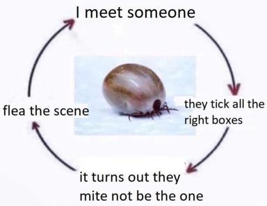 A circular narrative about the flea-versus-mite paradox: you meet someone who ticks all the boxes, only to discover the crucial checkbox they don't fulfil is their actual identity.