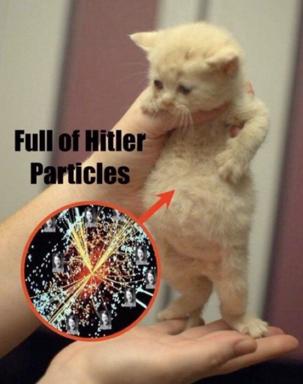 A cream-coloured kitten held in a palm is annotated with a particle collision detector image and the caption "Full of Hitler Particles" — a pun conflating particle physics jargon (Higgs) with absurdist humour.