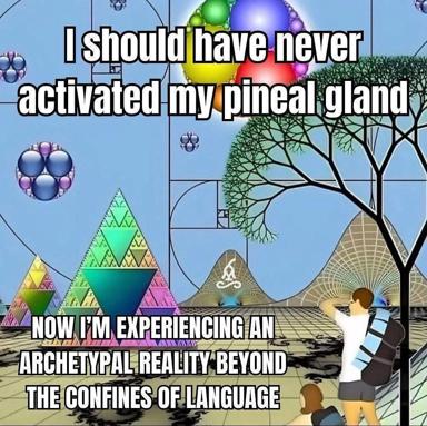 Meditation regret: "I should have never activated my pineal gland — now I'm experiencing an archetypal reality beyond the confines of language." Surrealist cosmic-horror wellness parody.