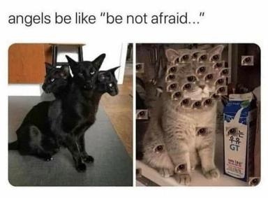 Medieval angel-encounter joke: "be not afraid" meets the cosmic horror of the "many eyes" meme.