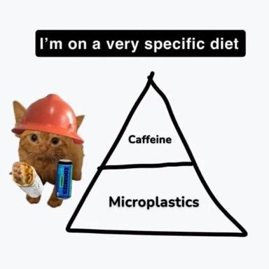 A cat on a toxic diet: construction-worker cat holds energy drink and burrito while a pyramid lists caffeine and microplastics as dietary staples.