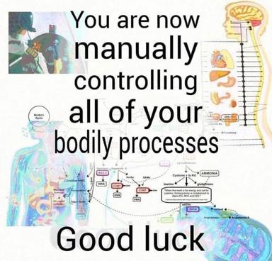 A deadpan poster celebrating human consciousness: anatomical diagrams (brain, nervous system, metabolic pathways) frame the message that becoming aware of your body's autonomic processes means you've forfeited unconscious control of them — a humorous riff on the game of conscious breathing.