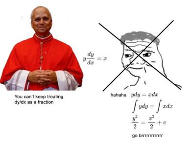 A cardinal confronts the mathematical truth that dy/dx is not a fraction—and the calculus meme responds with rage and illegibility.