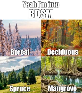 A four-panel meme using forest landscape photographs to illustrate different forest types involved in BDSM roleplay — boreal (snow-covered conifers), deciduous (autumn canopy), spruce (evergreen meadow), and mangrove (tangled roots and water).
