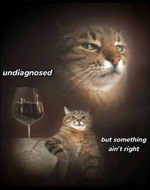 Two tabby cats in a moody noir setup with a wine glass; medical-humour meme about undiagnosed illness and vague suspicion.