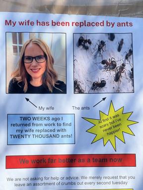 A man returns home to discover his wife has been replaced by twenty thousand ants. He reports they work far better as a team—and requests crumbs every other Tuesday.