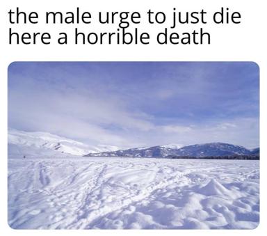 Vast, featureless winter landscape of snow and ice with distant mountains under a grey-blue sky; text above invokes male suicidality with deadpan timing.