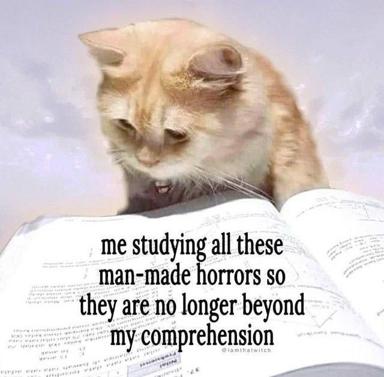 Cat reads textbook to comprehend human horrors — self-aware absurdism on acquiring dark knowledge.