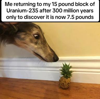A skeletal dog discovers its uranium stash has decayed to half-mass over 300 million years, delivering a deadpan physics joke.