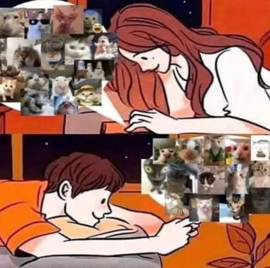 Girl surrounded by cats in a two-panel dreamy vignette; the chaos of cat photos frames moments of serene relaxation.