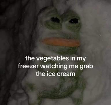 A disappointed-looking amphibian watches you reach for ice cream instead of the frozen vegetables.