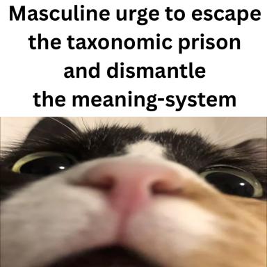 A close-up of a cat's face with an intense, slightly unhinged expression overlaid with existential philosophical text about masculine resistance and systems of control.