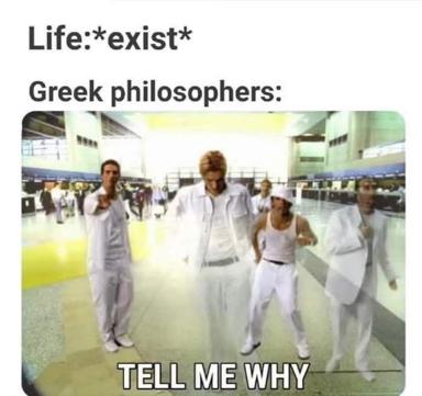 Greek philosophers debating the nature of existence, depicted as a crew of people in white gym wear in a modern sports facility, reduced to the absurdist demand: "TELL ME WHY".