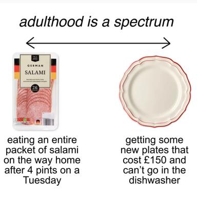 A meme contrasting reckless late-night snacking with obsessive home décor collecting, both framed as equally valid expressions of adult autonomy.