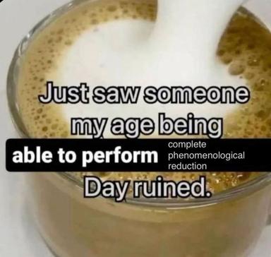 A beer meme: a glass of pale ale with text lamenting witnessing age-appropriate competence in phenomenology, ruining the day.
