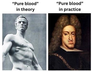 "Pure blood" ideology contrasted: classical sculptural ideal vs. historical reality — idealization vs. reality of aristocratic lineage claims.