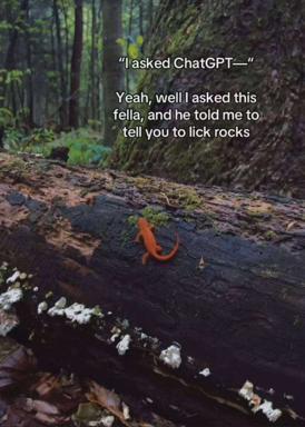 A bright red newt on moss-covered forest logs with an absurdist two-panel meme overlay about asking ChatGPT and then a friend what to do.