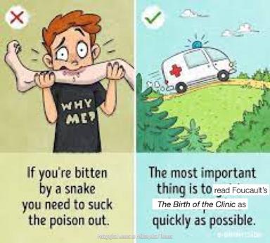 Snake bite first aid reframed as mandatory Foucault: a two-panel medical-meets-academic meme contrasting folk remedy with institutional intervention.