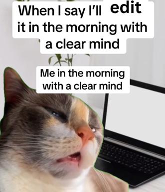 A cat at a computer displays wide-eyed shock and regret at 6am, embodying the gap between intentions and reality.