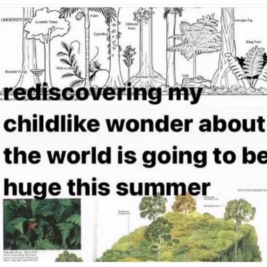 A forest guidebook diagram paired with an admission of wonder: botanical illustration anchors a confession about rediscovering childlike curiosity as climate anxieties mount.