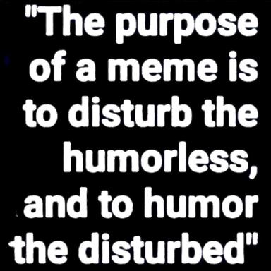 A quote about memes' purpose: to disturb the humorless and humor the disturbed. Typography on black, didactic tone.