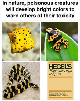Nature's poison creatures advertise toxicity in bright colors; Hegel's *Phenomenology* gets the same visual treatment.