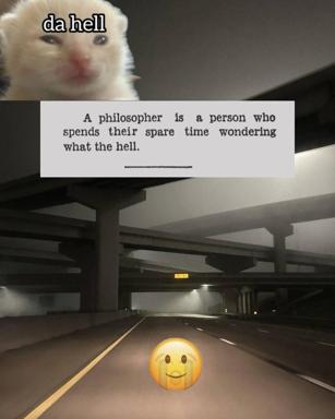 A bewildered cat and a golden smiley emoji frame a deadpan definition of philosophers, set against a brutalist highway underpass.