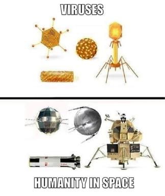 Viral pathogens rendered in cheerful gold vs. humanity's cold-war spacecraft in grey metal: same structural complexity, different scale of threat.