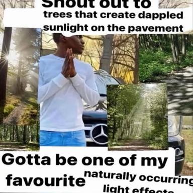 A collage praising dappled sunlight through trees, featuring a man in reverent pose surrounded by six photos of tree-lined streets bathed in shifting light.