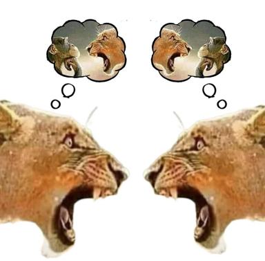 Two lizards or reptilian creatures facing each other in a mirror composition, with thought bubbles above their heads showing them arguing or hissing