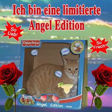 Fisher-Price "Ich bin eine limitierte Angel Edition" — a tabby cat photoshopped into vintage toy packaging with German irony-marketing copy and kitsch rose-sunset decoration.