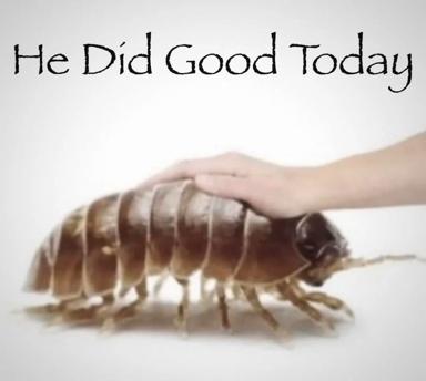 A pale hand gently strokes a segmented woodlouse against soft gray tones, paired with the text "He Did Good Today"—a deadpan meme celebrating small victories and improbable companions.